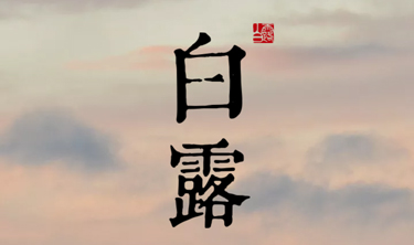 南宫集团(中国区)有限公司官网