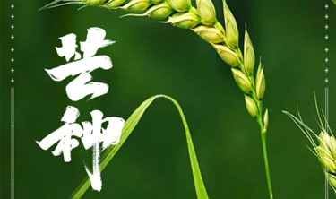 南宫集团(中国区)有限公司官网