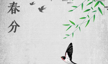 南宫集团(中国区)有限公司官网